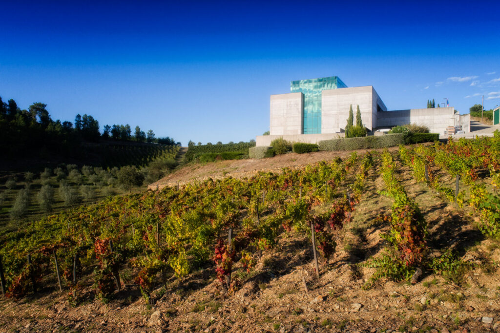 Photo - Accueil QDP WEBSITE GALLERY 30" QDP WEBSITE GALLERY 30
